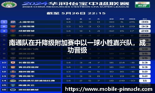 南通队在升降级附加赛中以一球小胜嘉兴队，成功晋级